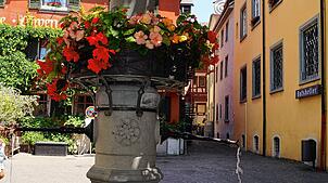 Der Brunnen auf dem Marktplatz gehört wie viele weitere zum Meersburger Stadtbild und liefert gute Trinkwasserqualität, die regelmäßig ...