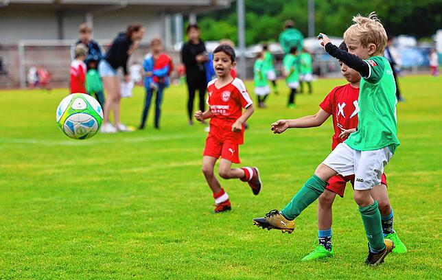 Bild 10: Unsere große Bildergalerie vom Bambini-Turnier beim Schlossseecup des FC RW Salem