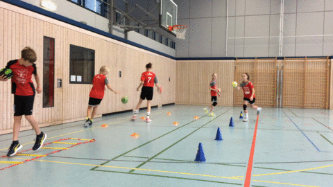 Bild : Feilen am perfekten Wurf: Handball-Nachwuchs trainiert vier Tage lang in der Radolfzeller Unterseehalle