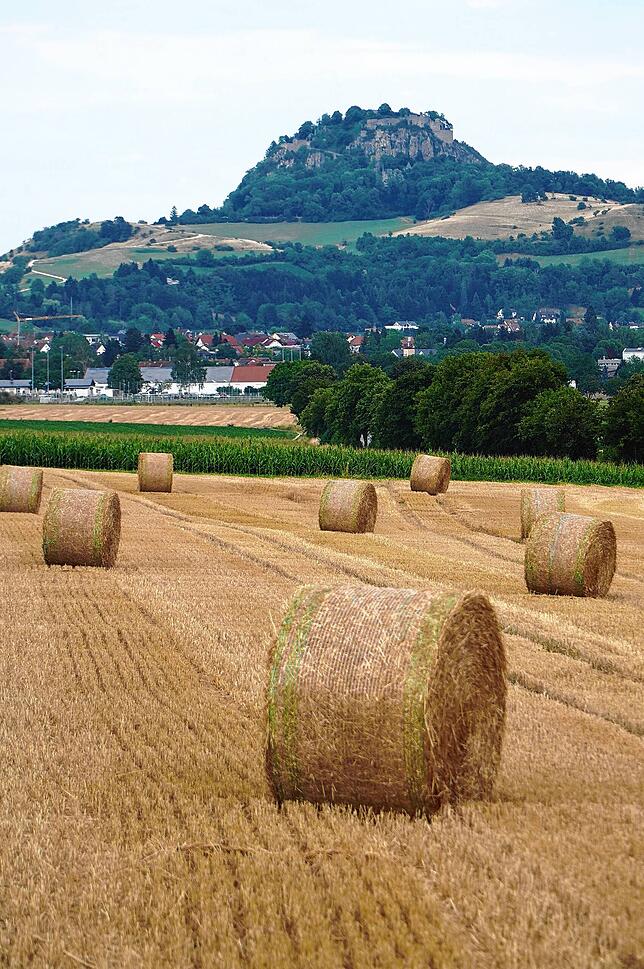 Noch immer ist die Landwirtschaft ein wichtiger Erwerbszweig im Ort.