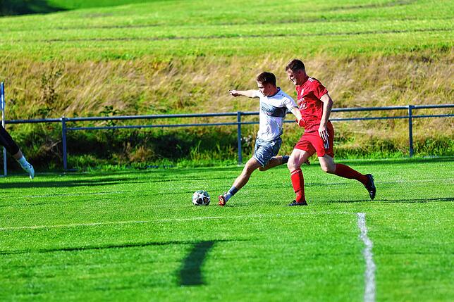 Bild 40: FC Dachsberg gewinnt Derby bei der SG Hotzenwald mit 7:2 – und wir haben Fotos!