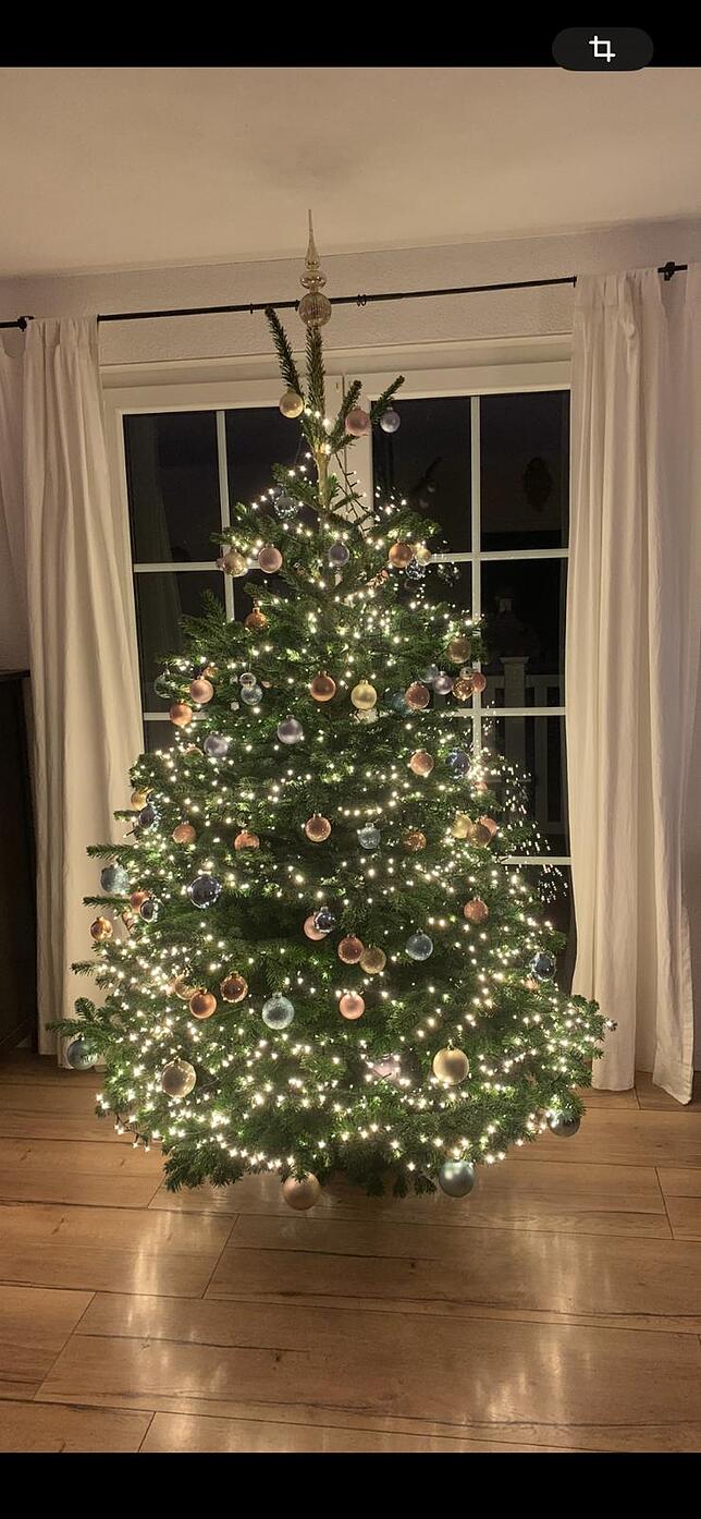 Lichterzauber in Stühlingen: Der Baum von Sandra Rüdt in Stühlingen-Bettmaringen.