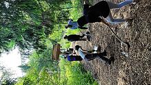 Schüler der Klasse¦7¦b der Fürstabt-Gerbert-Schule St.¦Blasien gehen den Mitarbeitern des Bernauer Gemeindebauhofs im Wald zur Hand. Die ...