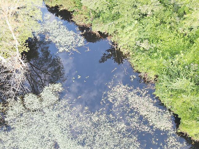 Bild 4: Alarm an der A98 bei Stockach: Biber, Millionen Liter Wasser und Blackout-Gefahr
