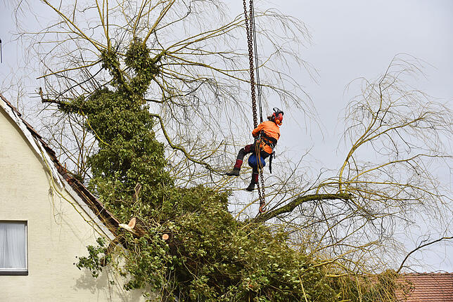 Bild 5: Den Baum am Haken: In Haus gekrachter Baum in der Donaueschinger Straße wird mit dem großem Kran entfernt