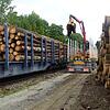 Das Regierungspräsidium Freiburg hat Holztransporten auf der Strecke der Sauschwänzlebahn eine Absage erteilt.