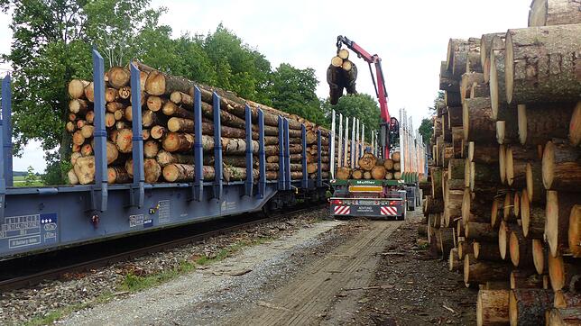Das Regierungspräsidium Freiburg hat Holztransporten auf der Strecke der Sauschwänzlebahn eine Absage erteilt.
