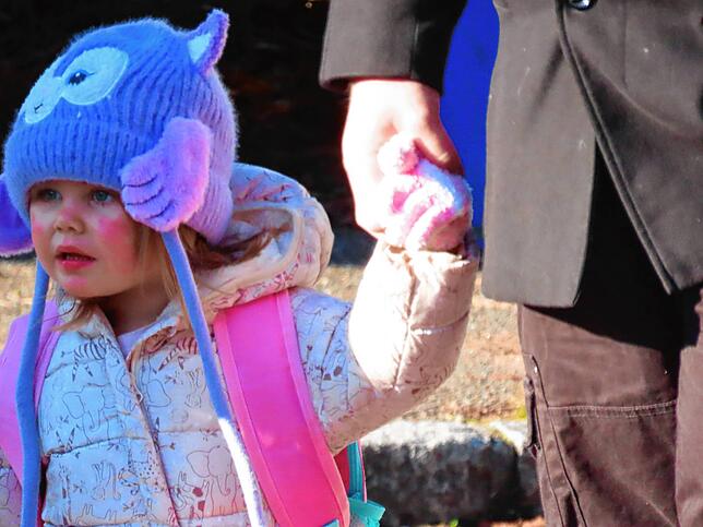 Bild 22: Fasnächtlicher Sonntag in Öflingen &ndash; Das sind die Bilder!