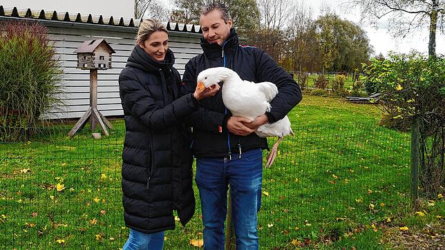 Simone und Markus Weinmann mit einer Gans: Die Tiere werden bei Weinmanns einen Tag vor der Schlachtung gefangen, &bdquo;um den ...