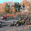 Die Arbeiten: Ein Bagger hat im Zuge der Renaturierung des ehemaligen oberen Wildschweingeheges schon ordentlich &bdquo;aufgeräumt&ldquo;.