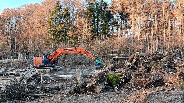 Die Arbeiten: Ein Bagger hat im Zuge der Renaturierung des ehemaligen oberen Wildschweingeheges schon ordentlich &bdquo;aufgeräumt&ldquo;.