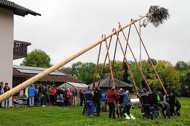 Dieser Baum mit einem Storch unter der Krone, 25 m groß, wurde in der Weinbrunnenstraße gestellt. Gefeiert wurde die Geburt der kleinen ...