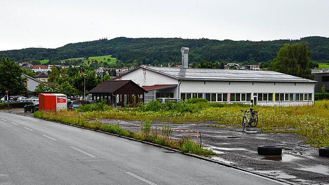 Auf der Wiesenfläche neben der Rudolf-Diesel-Straße könnte demnächst die Filiale eines Lebensmittel-Discounters gebaut werden.