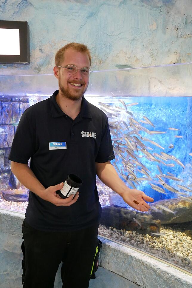 Robert Plock, Sealife Konstanz. Bild: Charlotte Kurz