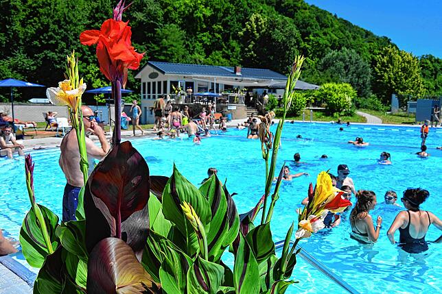 Bild 6: Alle Bilder zum Freibadfest in Waldshut