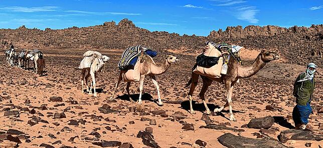 Marion Pfeiffer aus Weilheim ist dem Zauber der Wüste verfallen und organisiert seit vielen Jahren Sahara-Trekking für Menschen, die ...