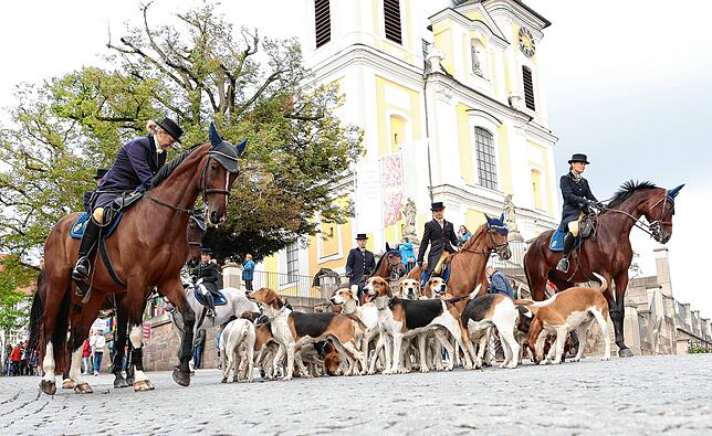 Bild 8: Reitturnier mit fulminantem Start