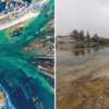Faszinosum von oben, Tristesse vom Boden: Der Konstanzer Trichter beim Niedrigwasser im April 2025.