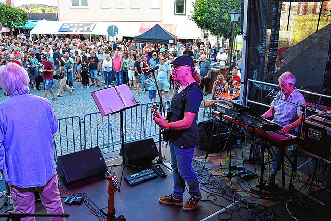 Bild 19: Bilder von der Festeröffnung des Schweizer Feiertags in Stockach