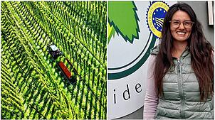 Auf rund 1500 Hektar wird in Tettnang Hopfen angebaut. An der Spitze des Hopfenpflanzerverbands Tettnang steht seit Anfang April Teresa ...