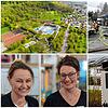 Vier Einrichtungen im Hegau, die eng mit dem Ehrenamt verbunden sind (von links oben im Uhrzeigersinn): Das Höhenfreibad Gottmadingen, ...