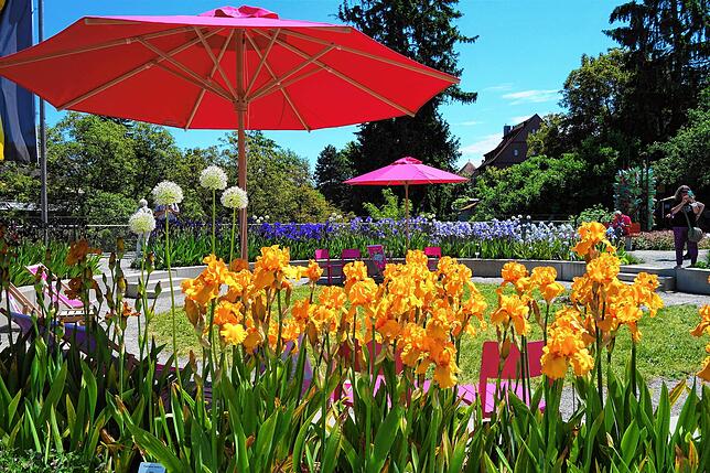 Ein Farbkreis aus lauter Iris ziert den Rosenobelturm. Der ehemalige Wehrturm wurde zu einem blühenden Garten mit einer tollen Aussicht ...