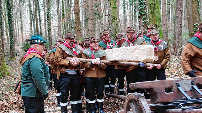 Mühelos heben die Holzhauer im Altbohlwald den Narrenbaum vom Boden auf. Das Sagen hat hier der Förster Wald, Thomas Kötzel (links).