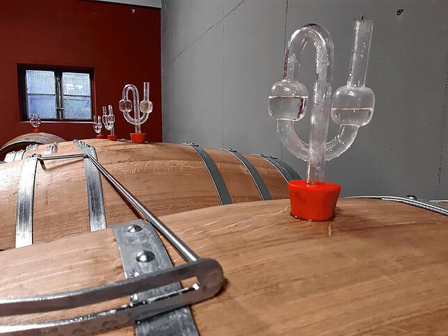 Der Wein lagert in Holzfässern und Stahlfässern.