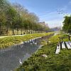 Die Dämme entlang der Rotach wären bei einem Jahrhunderthochwasser zu niedrig. Die Stadt Friedrichshafen plant deshalb Maßnahmen und ...