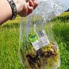 Immer wieder landen in Herdwangen-Schönach original verpackte Salatköpfe an Wegrändern und auf Ackerflächen.