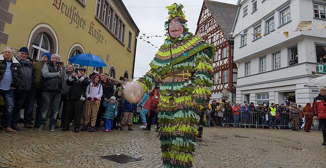 Bild 30: Tausende Hästräger und Musiker in Pfullendorf: Bilder vom Umzug (2)