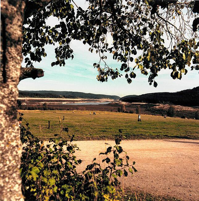 Bild 5: Faszinierende Bilder: so sah der leere Schluchsee 1983 aus