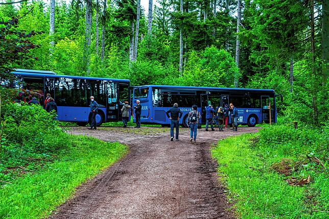 Mit zwei Bussen ist der Gemeinderat an die insgesamt vier Orte der Waldbegehung 2020 gefahren.