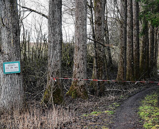 Absperrungen werden nicht beachtet, ganz im Gegenteil. Auf Outdoor-Erlebnisseiten gilt die Wutachschlucht im Winter oder nachts als ...