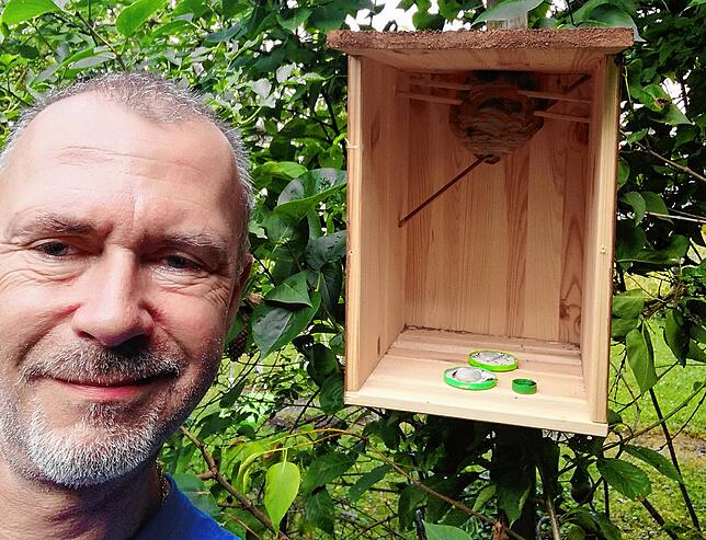 Ralf Claaßen ist Wespenexperte. Hier ist er mit einem frisch umgesiedelten, noch kleinen Nest der Mittleren Wespe zu sehen.