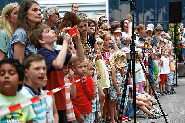 Bild 20: Bilder der Schauübung von Radolfzeller Hilfsorganisationen