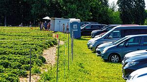 Bild : Sommerzeit ist Erdbeerzeit