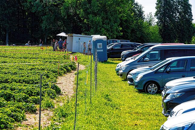 Bild 1: Sommerzeit ist Erdbeerzeit