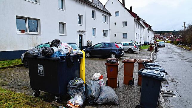 So sieht die Situation in der Gerhart-Hauptmann-Straße am 5. Januar aus. Müllcontainer, die eigentlich für die Recyclingfähiges Plastik ...
