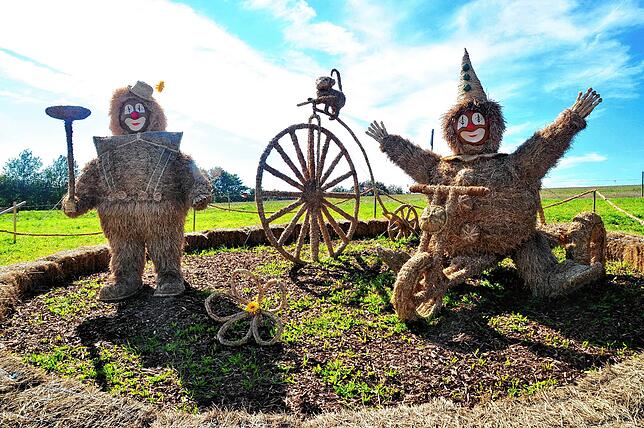 Spaß und Lebensfreude wie hier bei den Zirkus-Clowns der Narrenzunft Tannenzäpfle e.V. 2017 „Circus Clown“. Foto: Stefan Pichler