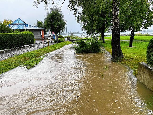 Der Mühlbach am Seegarten schwillt durch den vielen Regen deutlich an.