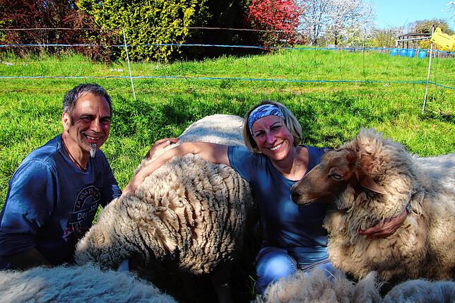 Hardy Buck und Barbara Stotz kuscheln mit ihren Schafen.
