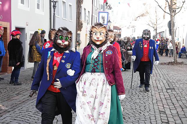 Bild 5: Villinger Fasnacht: Die schönsten Bilder der Katerbefreiung im Riet