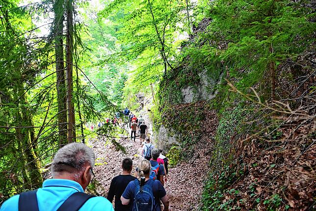 Bild 22: Wie läuft es sich von der Marienschlucht zum Burghof? Bilder einer Wanderung