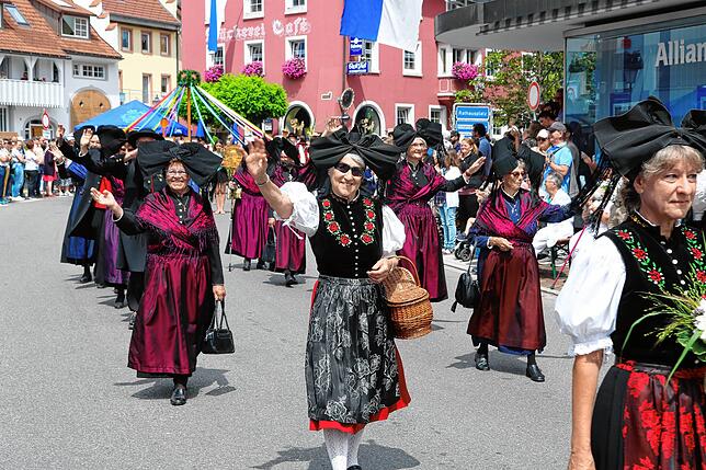 Bild 10: Bilder vom Festumzug in Löffingen