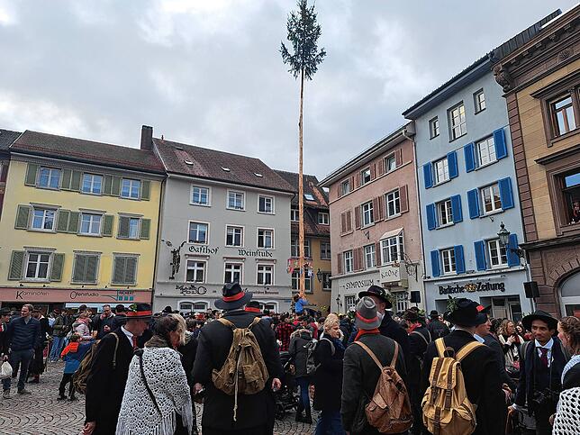 Wälder und andere Besucher bewundern den Narrenbaum.