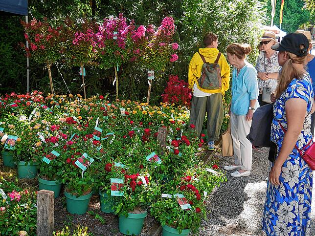Bild 17: Die schönsten Bilder von der DIGA-Gartenmesse im Bad Säckinger Schlosspark