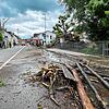 Mit dem Hochwasser kam das Treibholz. Hier holen Bagger Treibholz aus der Schussen in Brochenzell. Das Bild ist von Sonntag, den 2. Juni ...