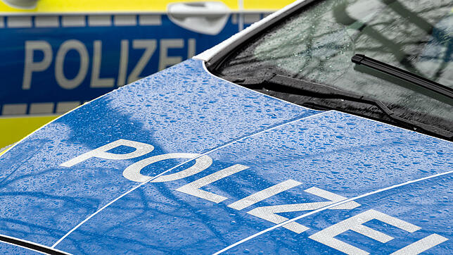 Polizei-Fahrzeuge waren auf der Suche nach einem Falschfahrer auf der A81 (Symbolbild).