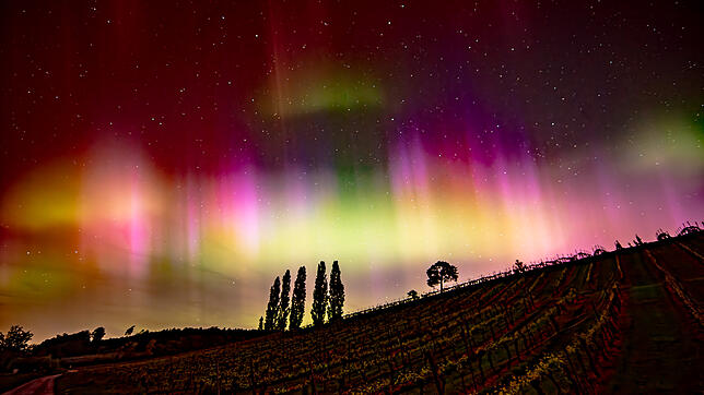 Polarlichter verwandelten am Wochenende den Nachthimmel über der Region in ein buntes Farbenmeer – wie hier an der Barockkirche Birnau.